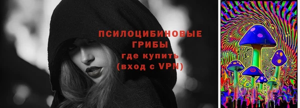 мдпв Мегион