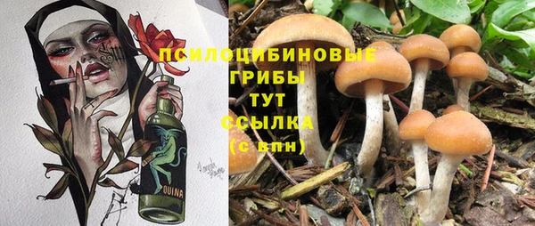 бутират Медвежьегорск