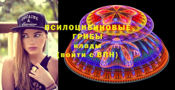 мдпв Мегион