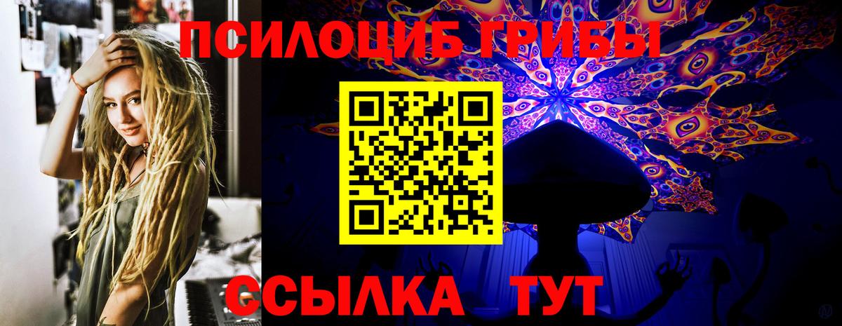 Псилоцибиновые грибы прущие грибы  Галлюциногенные грибы Cubensis  Тосно  Вход с VPN 